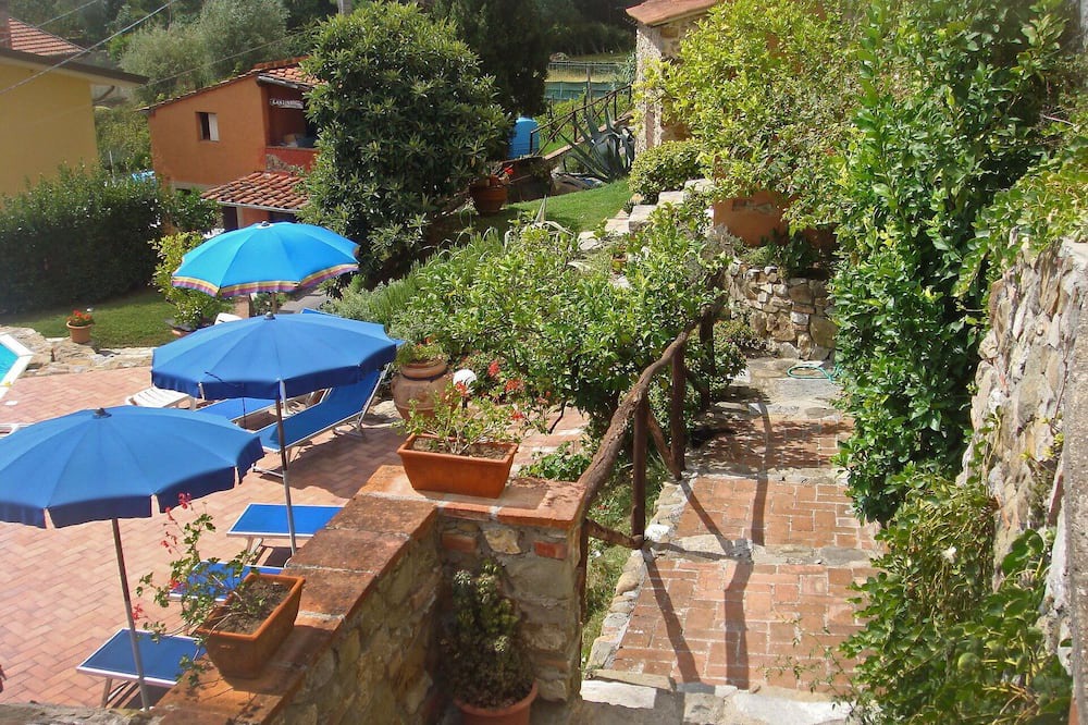 Photo of Others in Massarosa