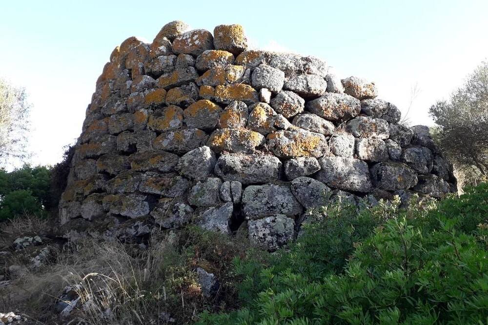 Photo of Outdoor in Solarussa