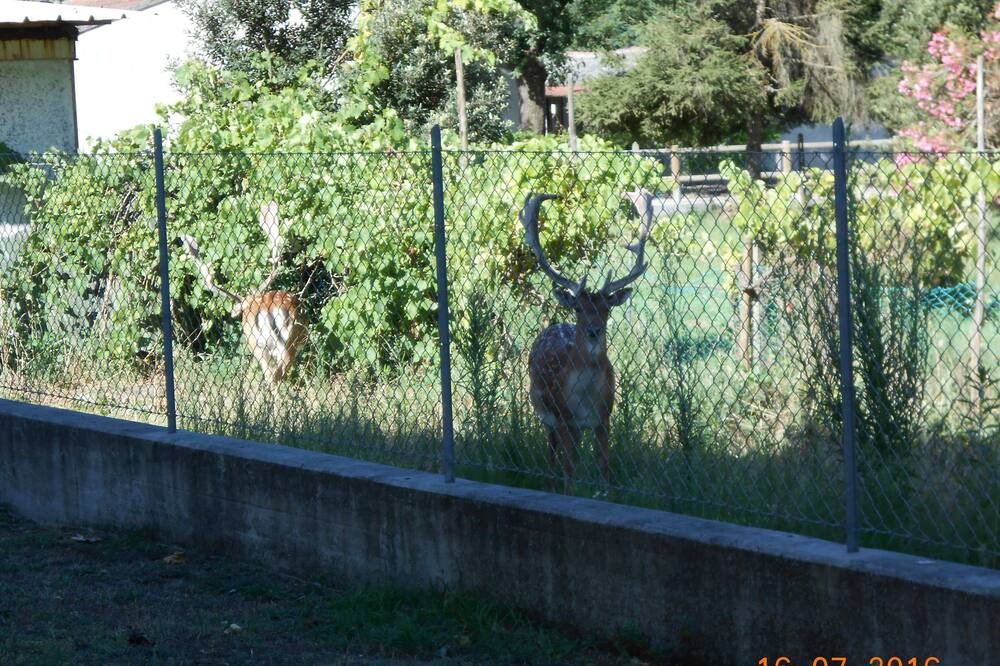 Photo of Outdoor in Lido di Volano