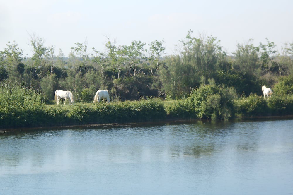 Photo of Outdoor in Lido di Volano