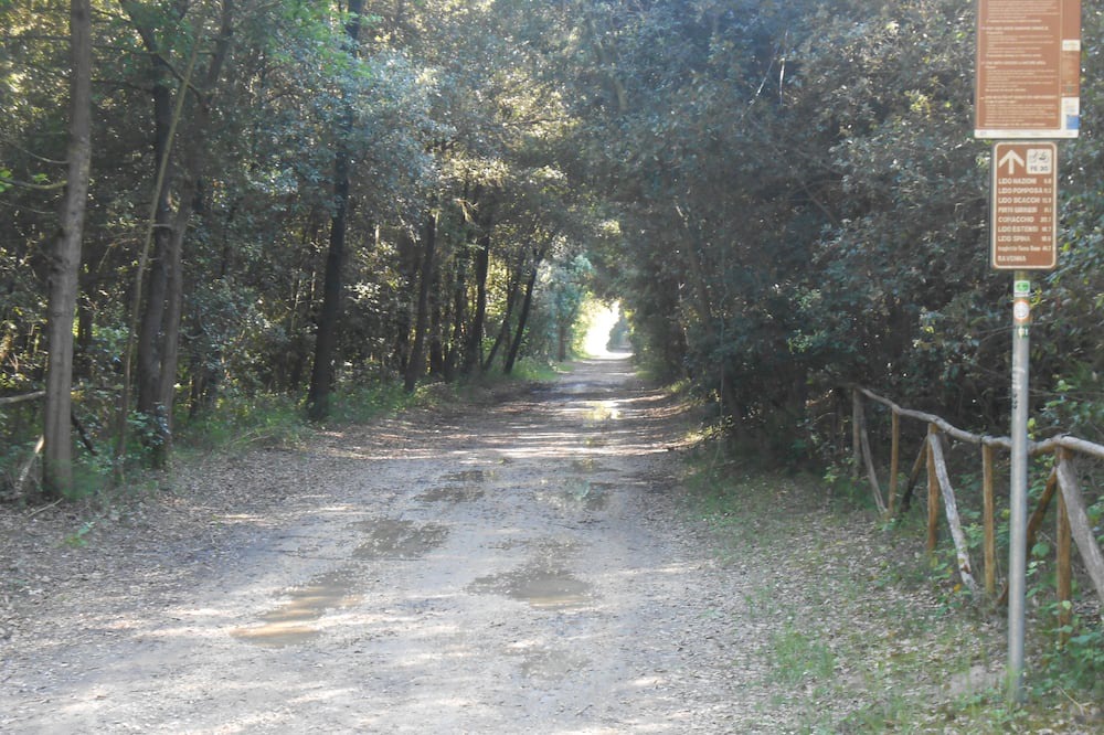 Photo of Outdoor in Lido di Volano