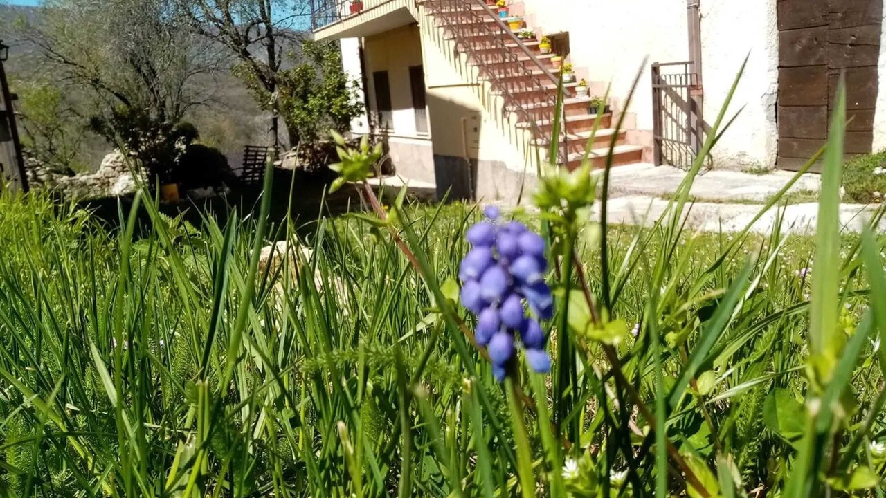 Photo of Outdoor in Lucoli