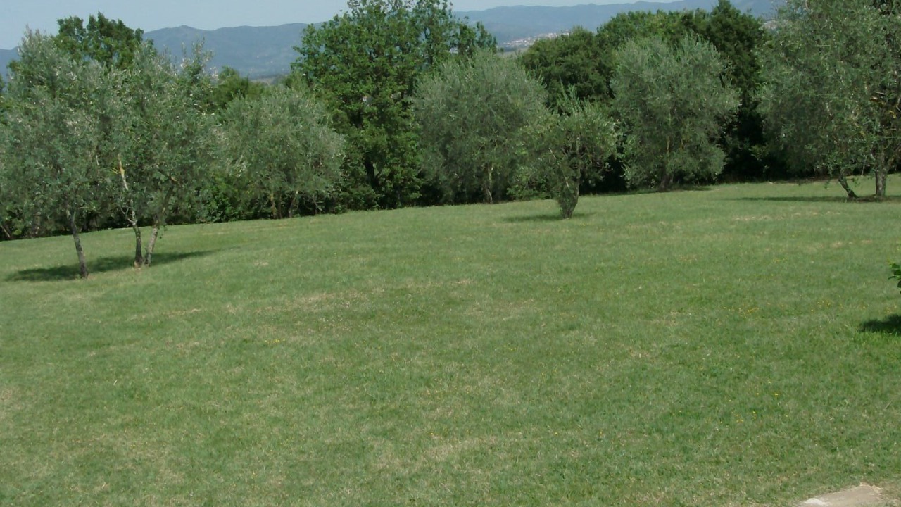 Photo of Others in Marciano della Chiana