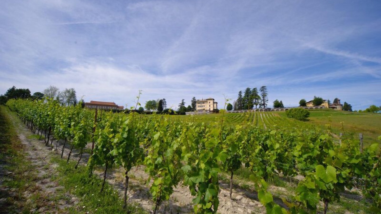 Photo of Others in Serravalle Scrivia