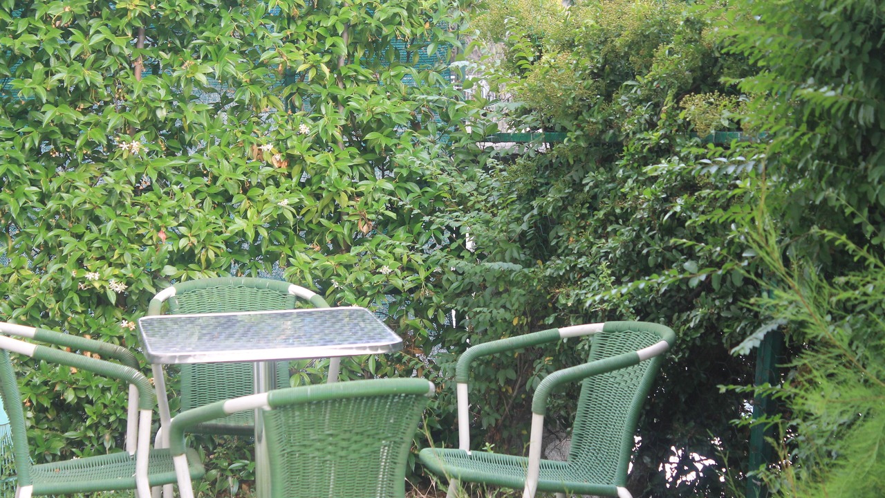 Photo of Outdoor in Saint-Vincent
