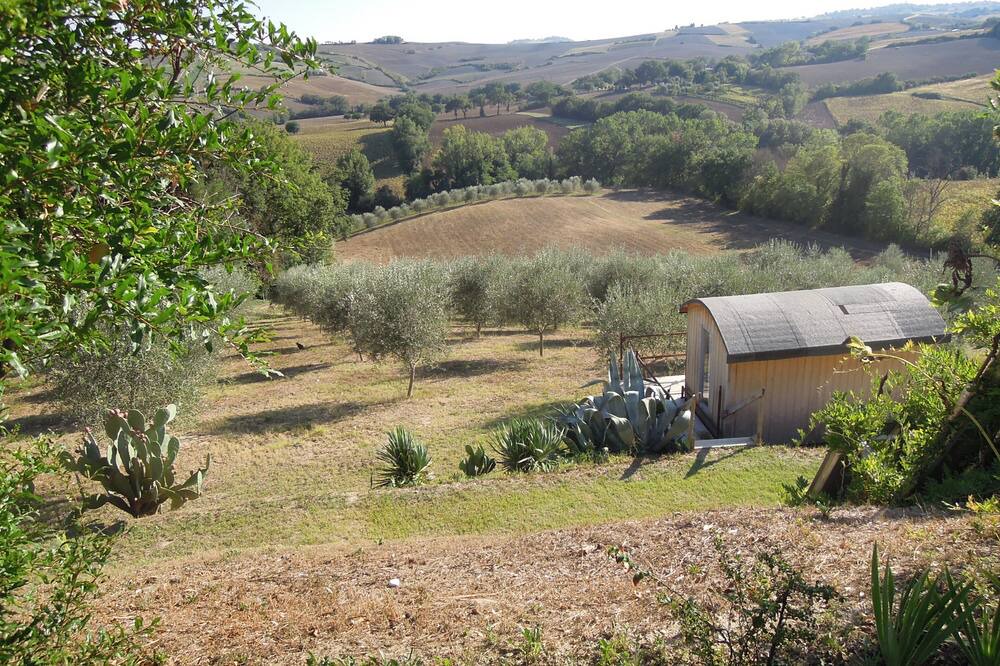 Photo of Outdoor in Barchi