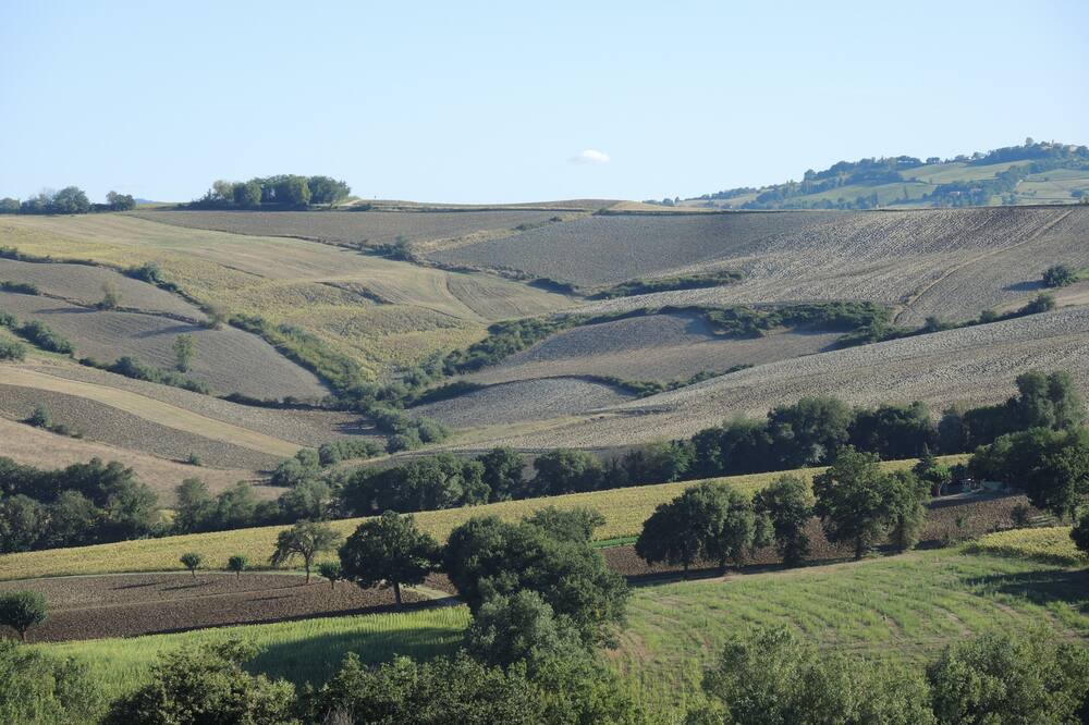 Photo of Outdoor in Barchi