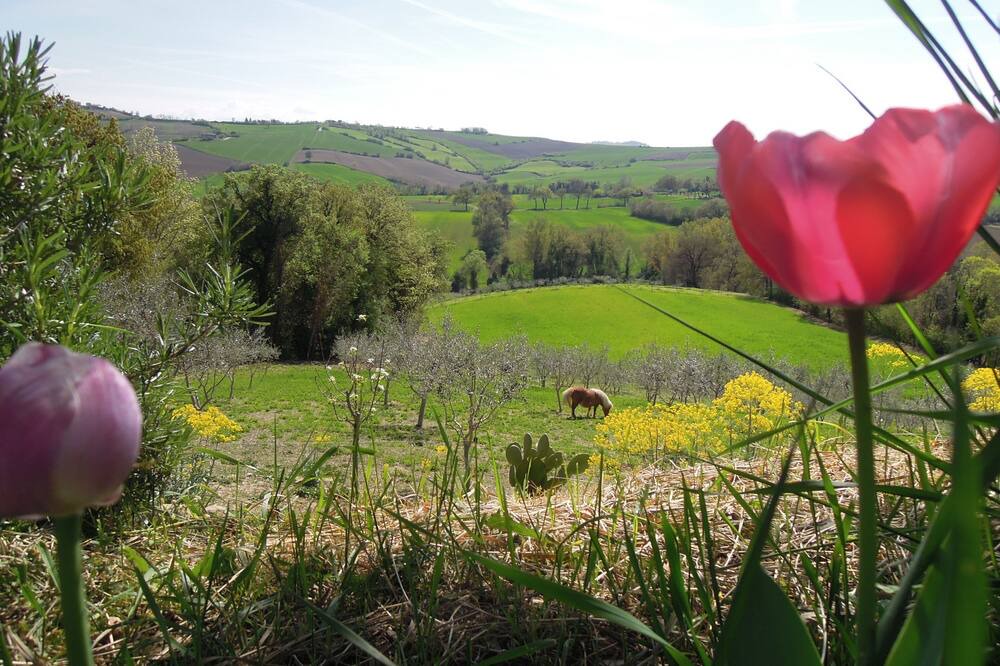 Photo of Outdoor in Barchi