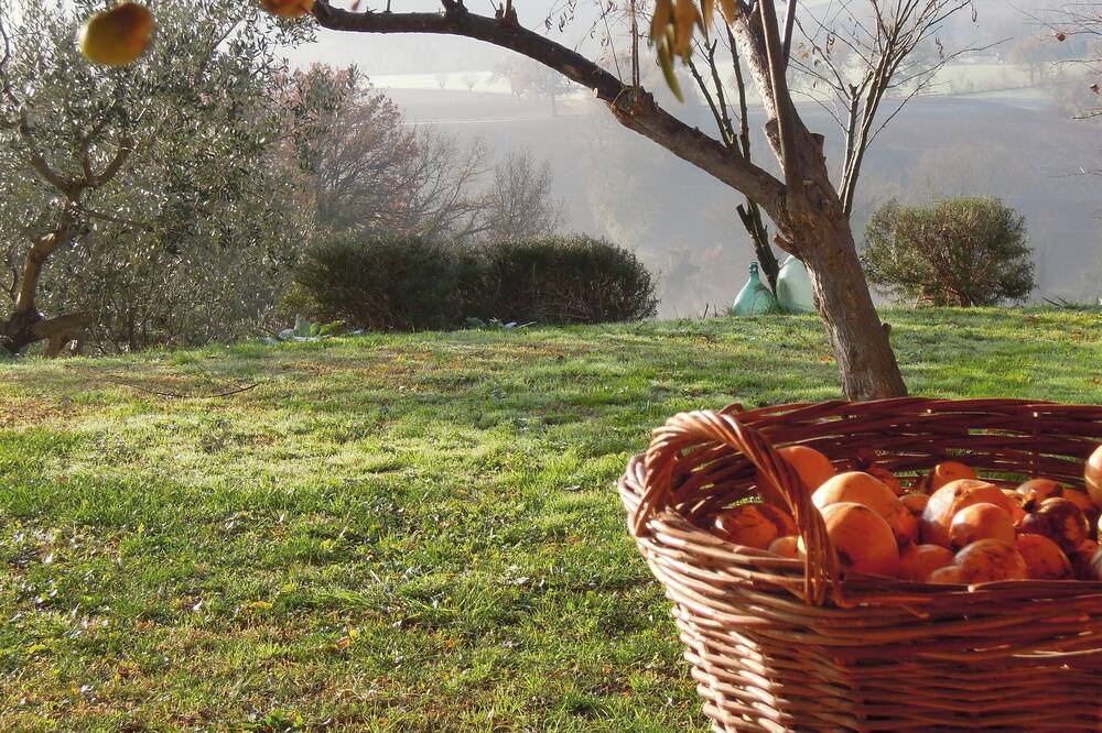 Photo of Outdoor in Barchi