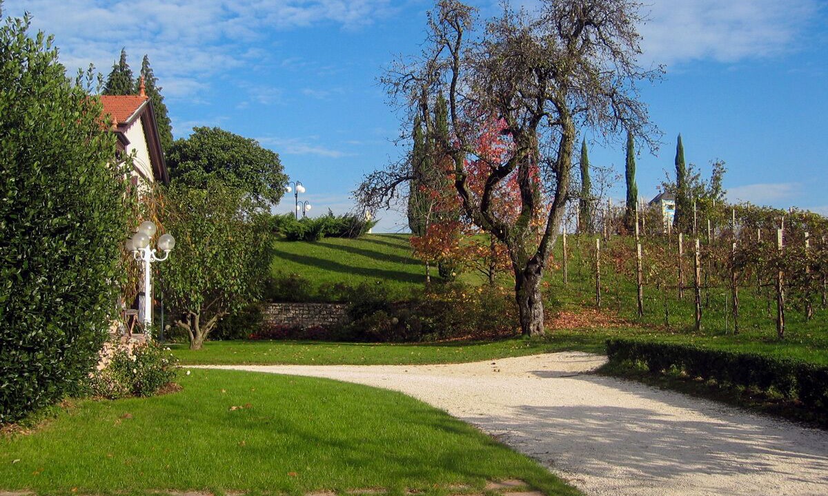Photo of Outdoor in Vittorio Veneto