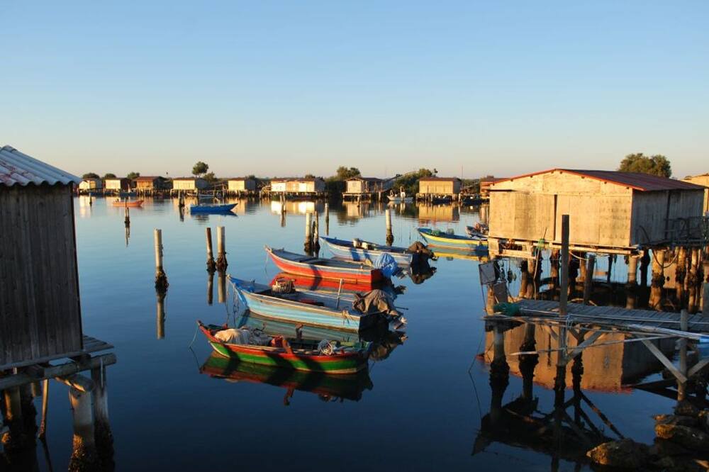 Photo of Outdoor in Lido di Pomposa