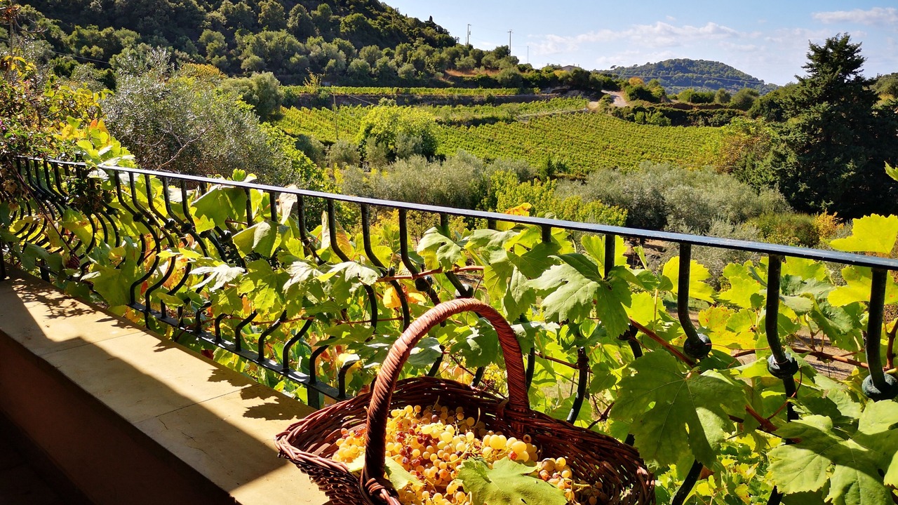Photo of Patio Balcony in Magomadas