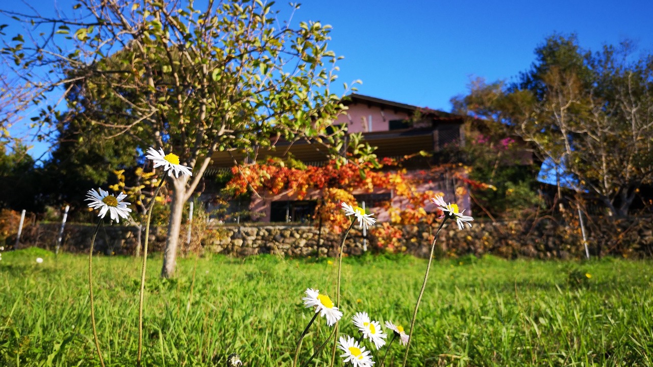 Photo of Outdoor in Magomadas