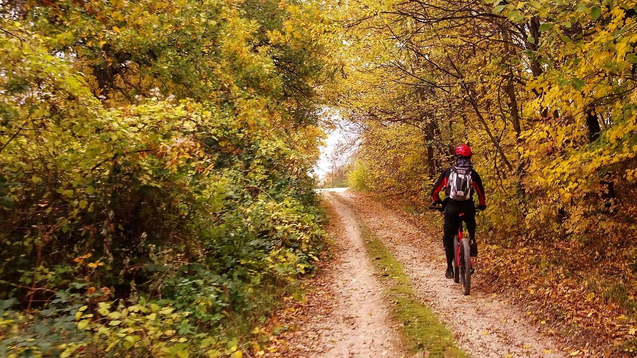 Photo of Outdoor in Numana