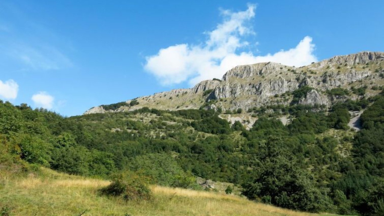 Photo of Others in San Romano in Garfagnana
