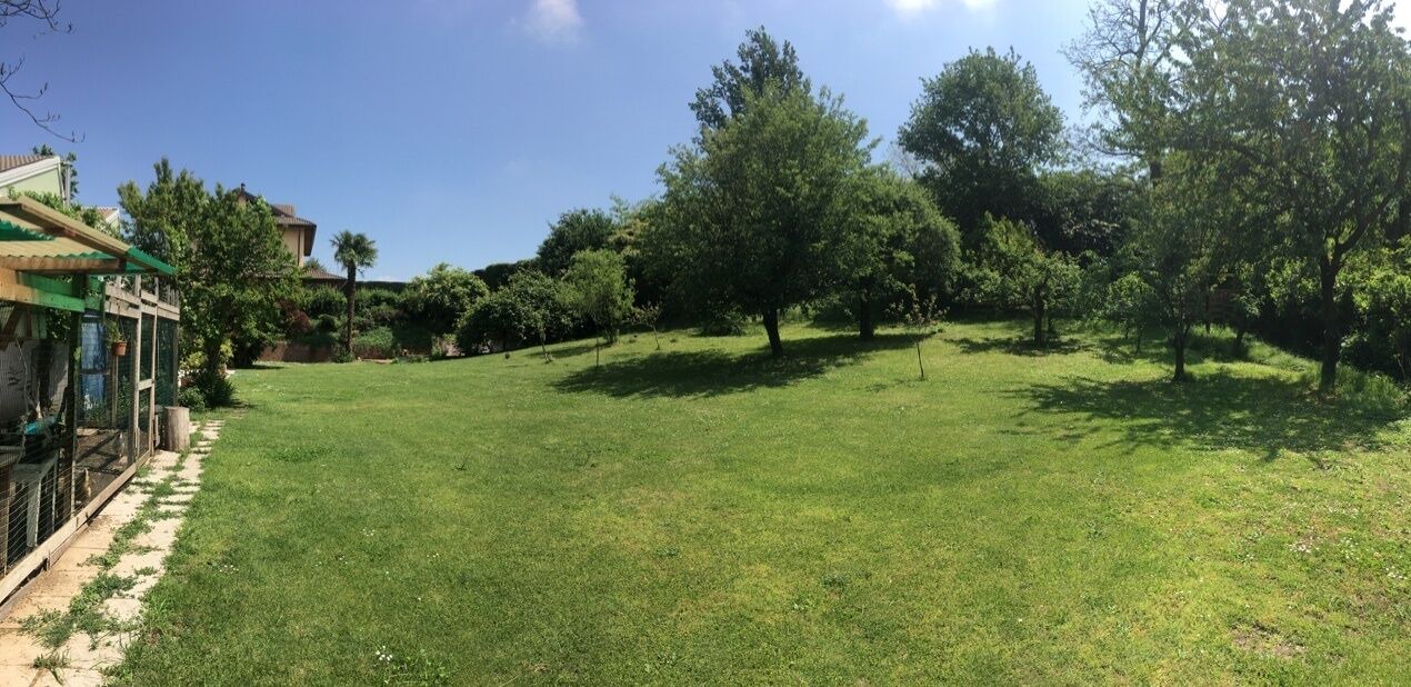Photo of Outdoor in Bernate Ticino
