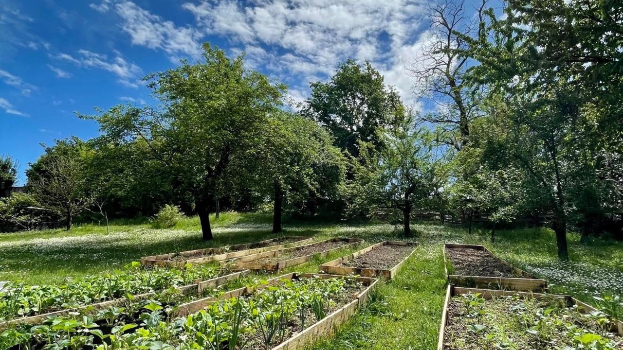 Photo of Outdoor in Bernate Ticino