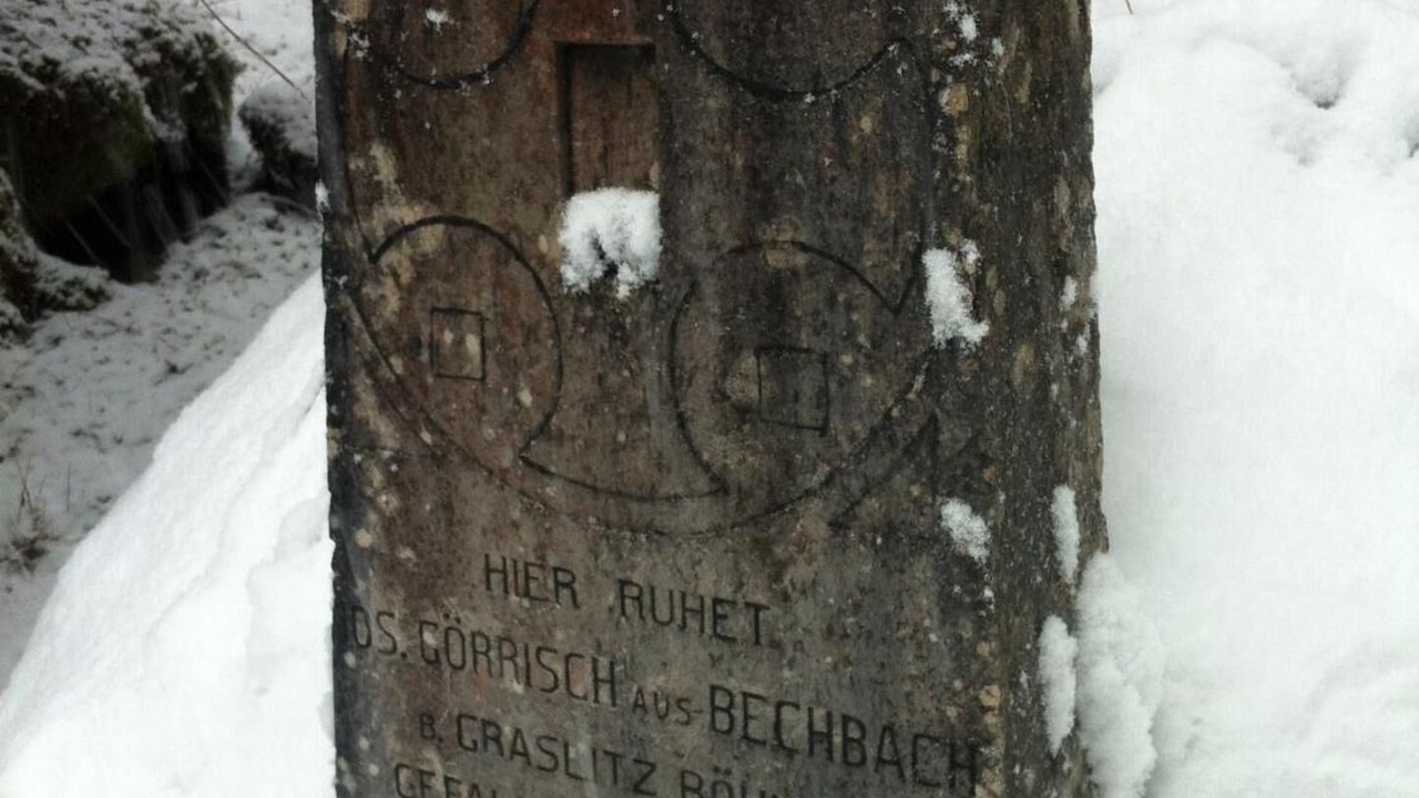 Photo of Outdoor in Camporovere