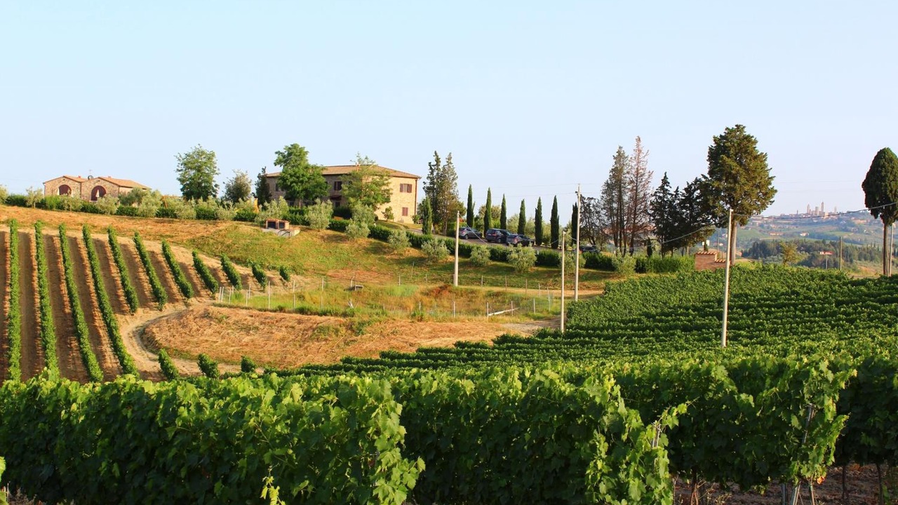 Photo of Outdoor in San Gimignano