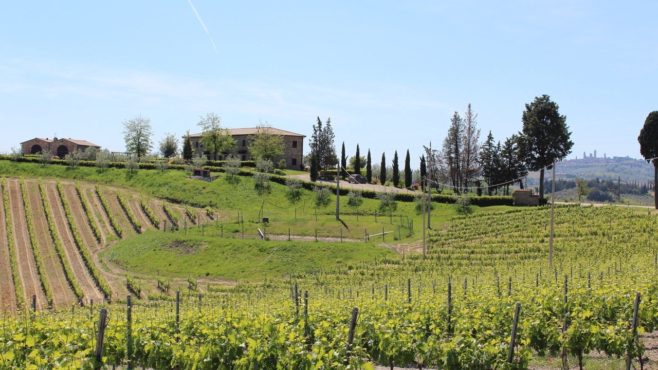 Photo of Outdoor in San Gimignano