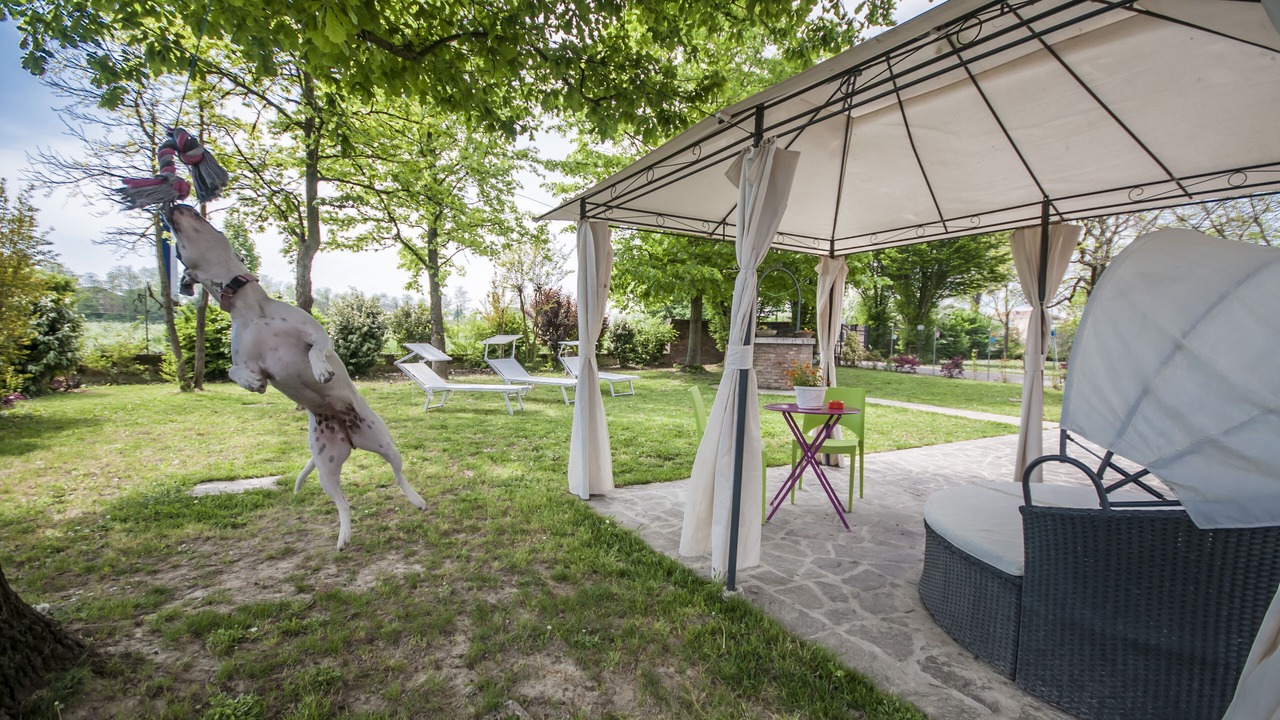 Photo of Outdoor in Ferrara