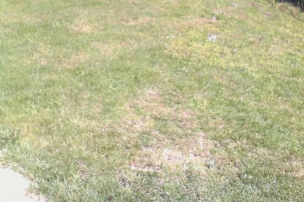 Photo of Outdoor in Zagarise