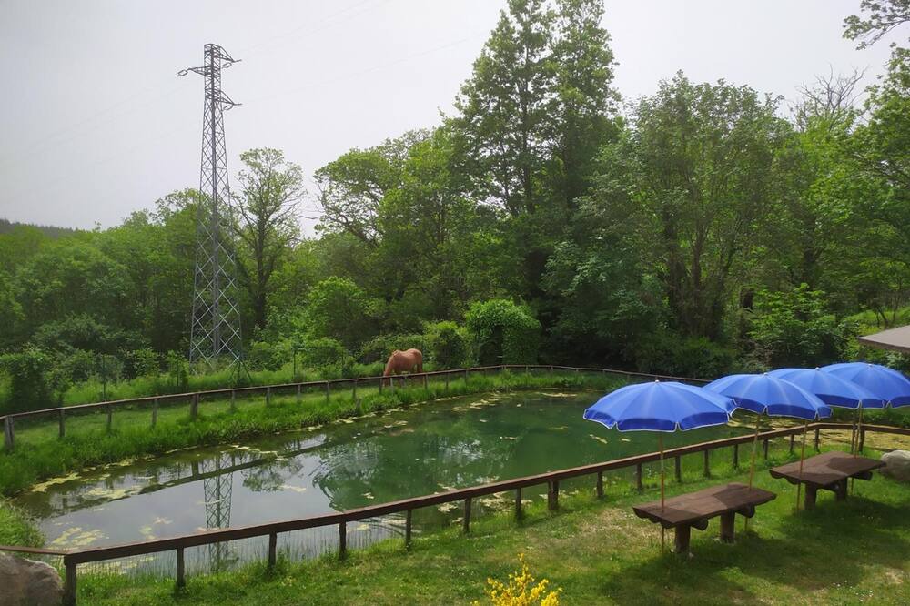 Photo of Outdoor in Zagarise