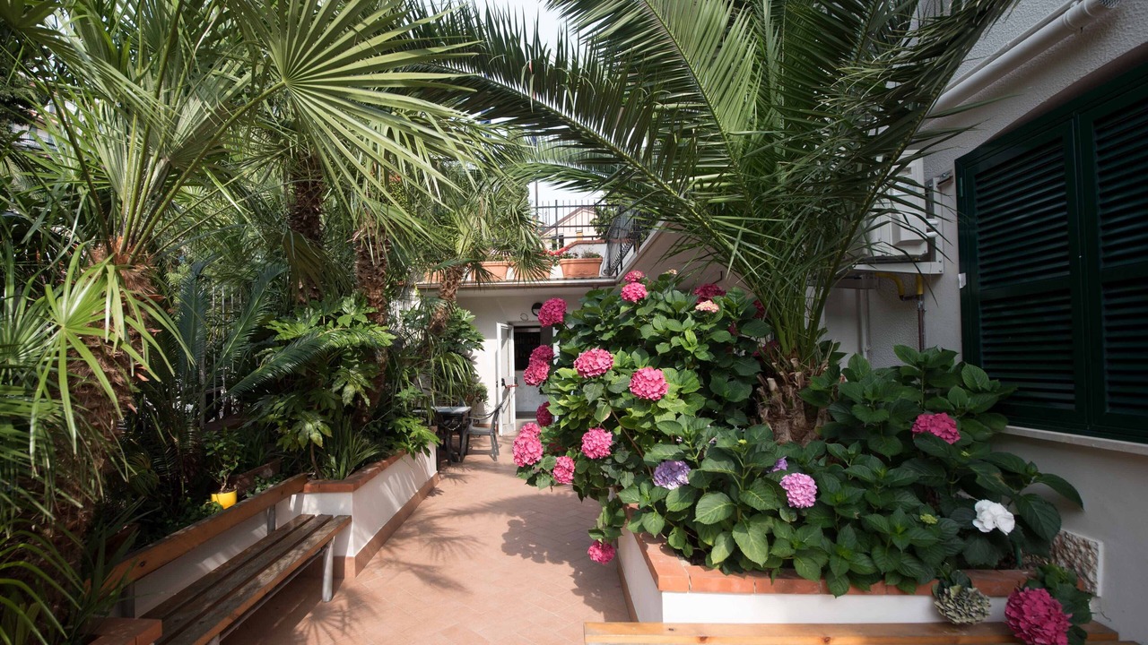Photo of Outdoor in Pietra Ligure
