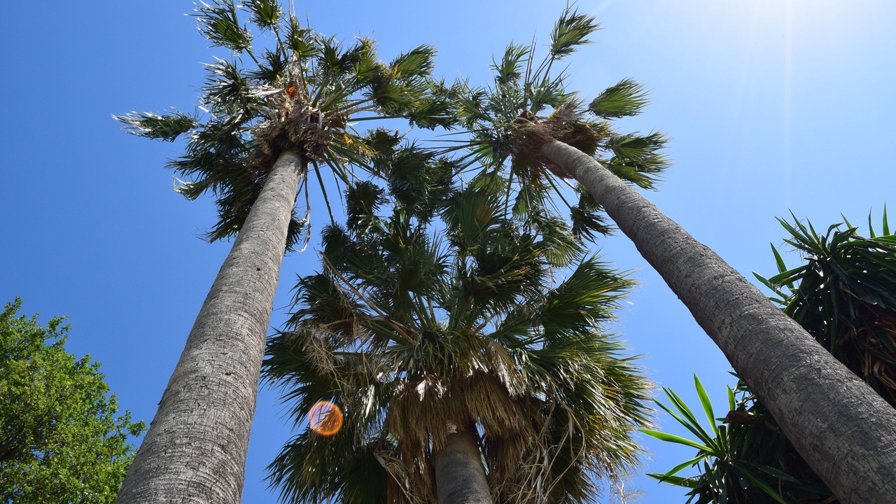 Photo of Outdoor in Pietra Ligure