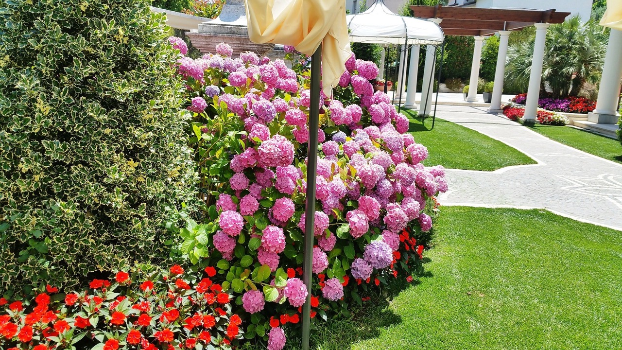 Photo of Outdoor in Carpignano