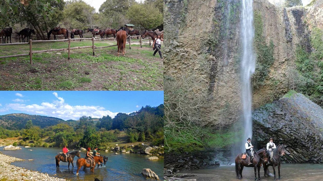 Photo of Others in Tolfa