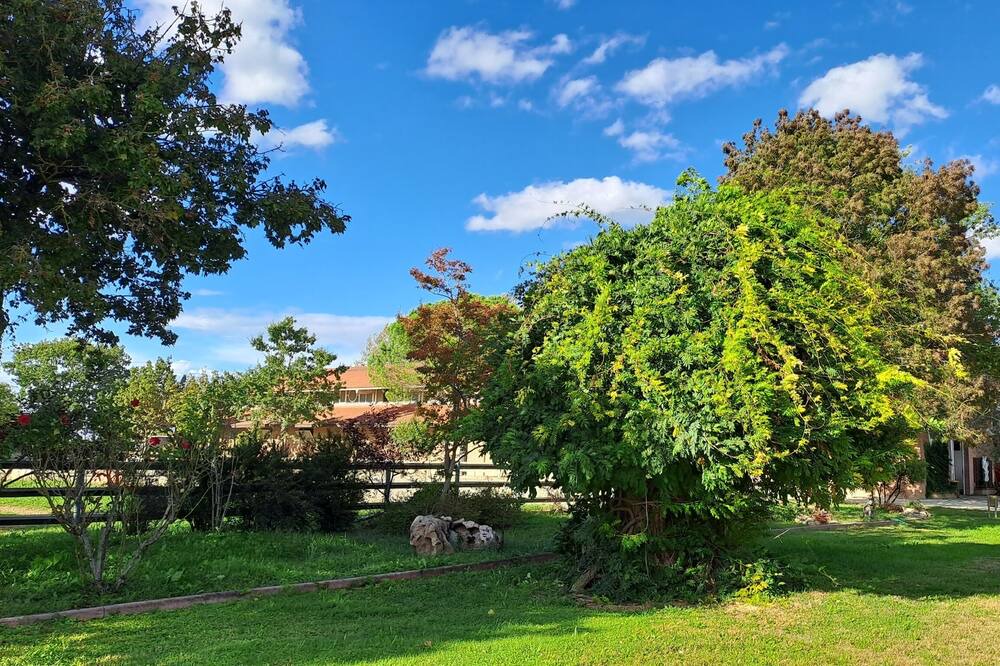 Photo of Outdoor in Noceto