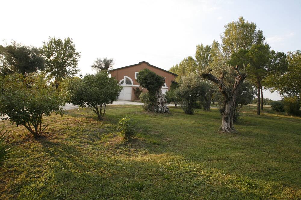 Photo of Outdoor in Noceto