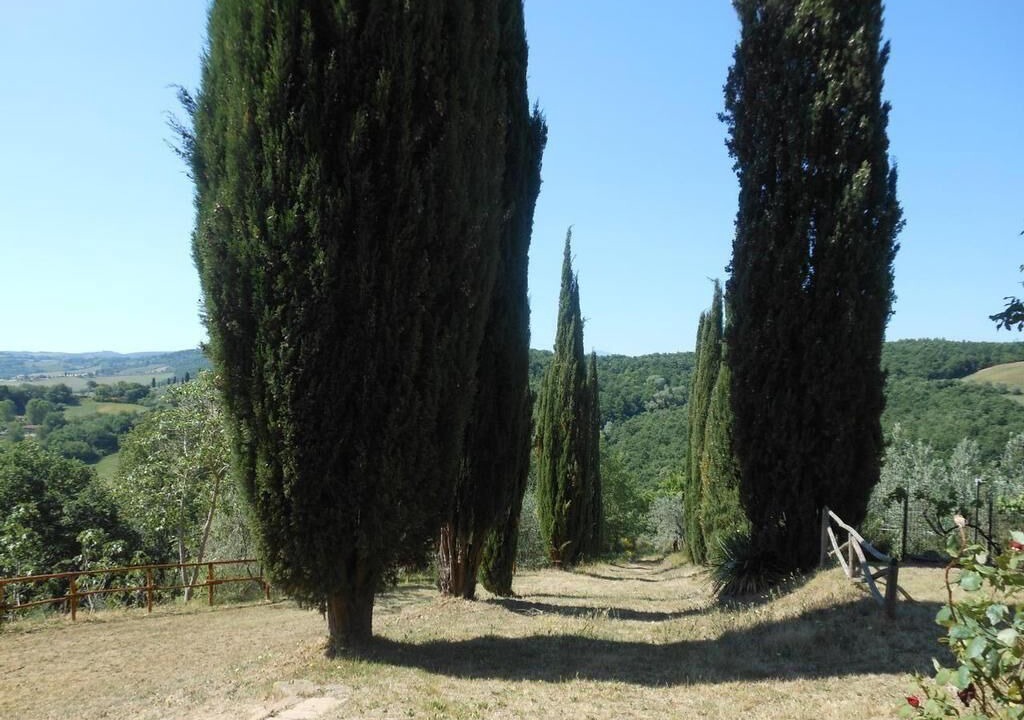 Photo of Others in Montefollonico