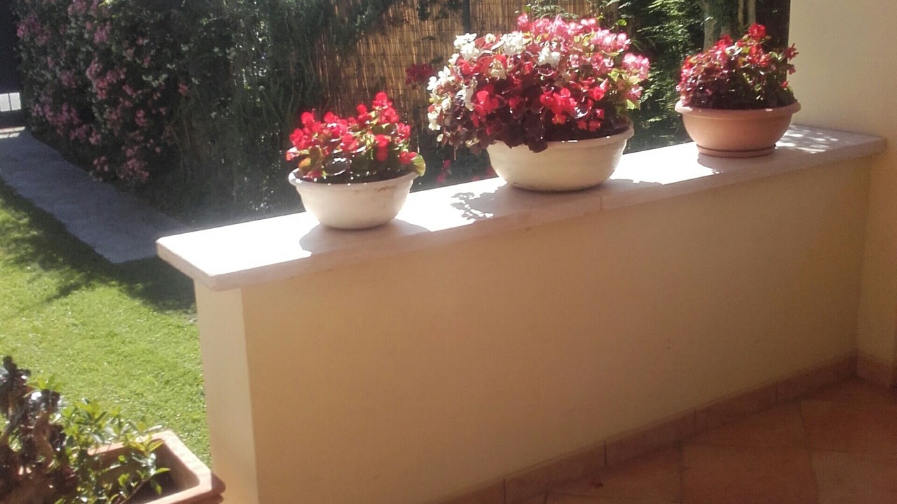 Photo of Outdoor in Fregenae
