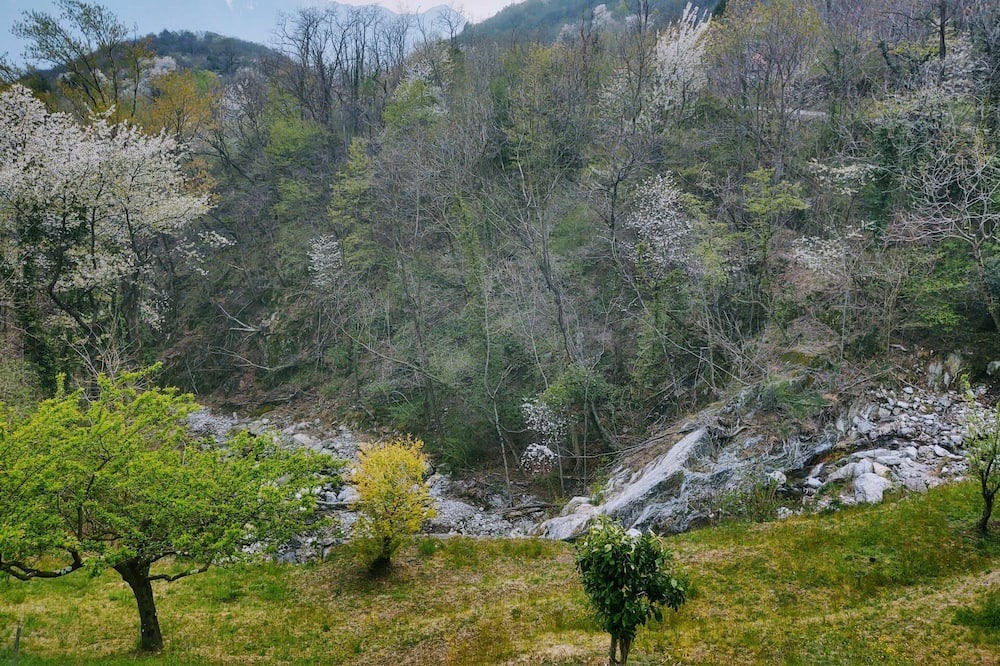 Photo of Outdoor in Sorico