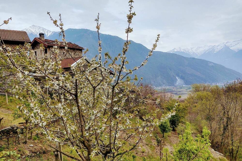 Photo of Outdoor in Sorico