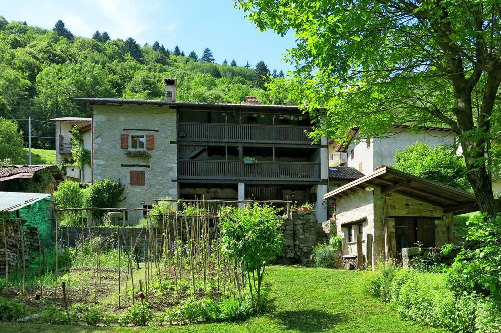 Photo of Others in Cepletischis