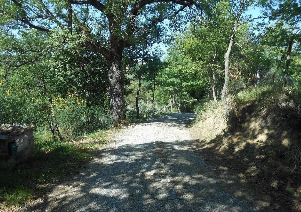 Photo of Outdoor in Montefollonico
