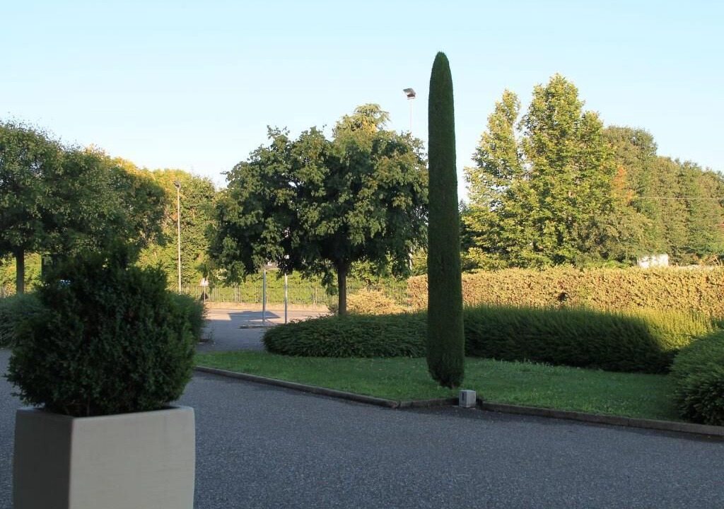 Photo of Others in Soncino