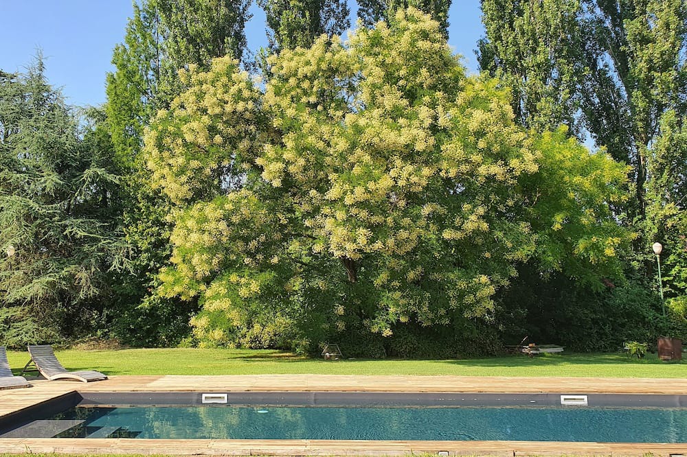 Photo of Outdoor in Colorno