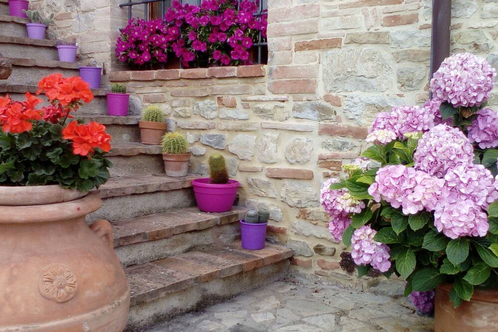Photo of Others in Marsciano