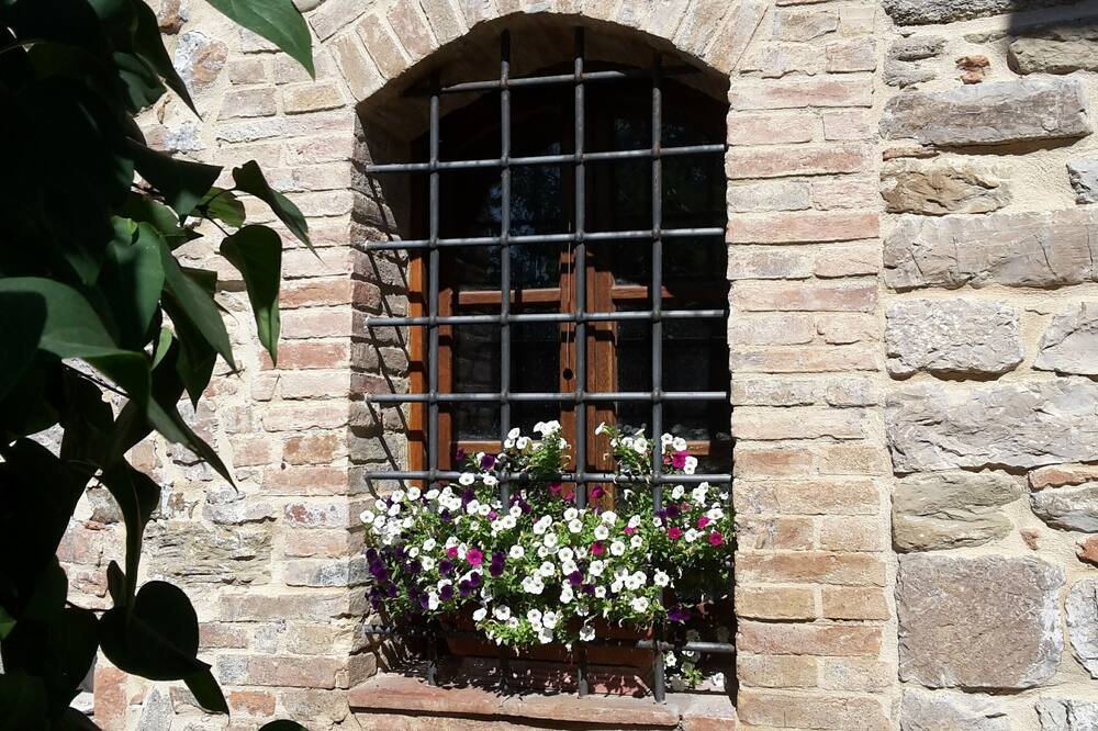 Photo of Others in Marsciano