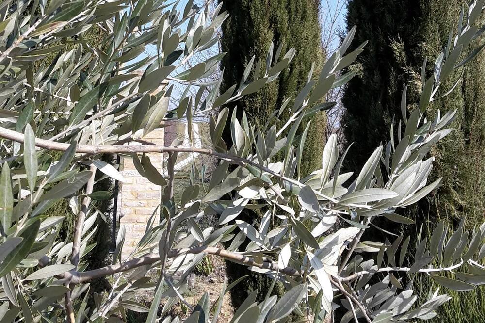 Photo of Others in Marsciano