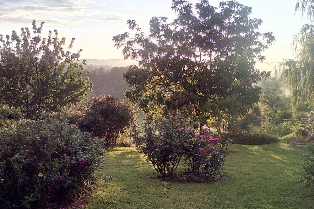 Photo of Others in Marsciano