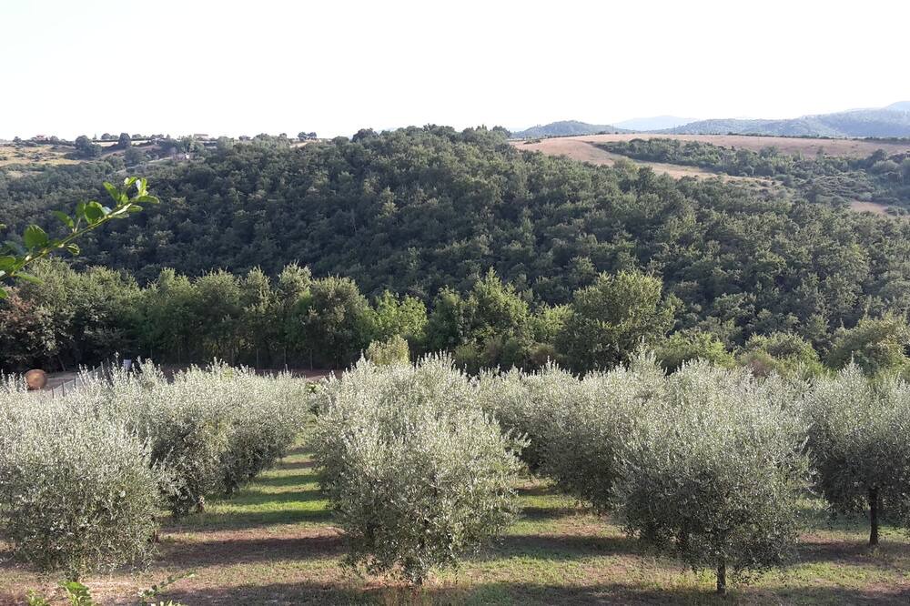 Photo of Others in Marsciano