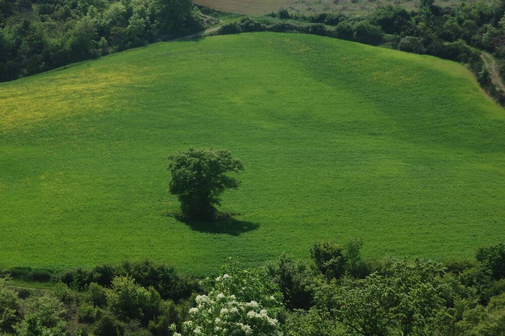 Photo of Outdoor in Marsciano