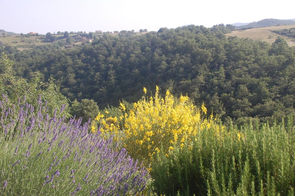 Photo of Others in Marsciano