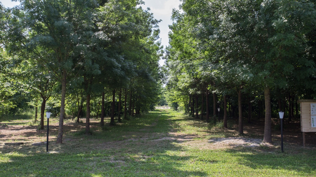 Photo of Outdoor in Correzzola
