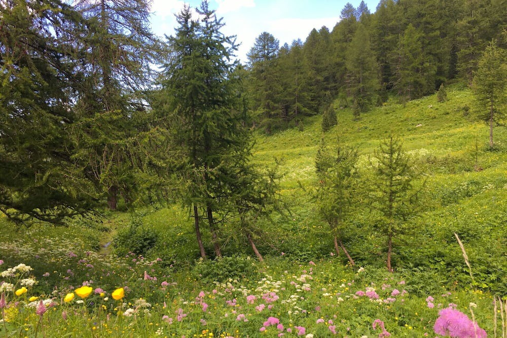Photo of Others in Sampeyre